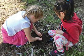 Children digging in the soil